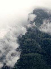 Jiang Mingzhu Zhou L