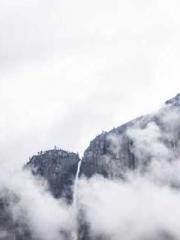 My Sweet Wife: The C