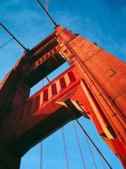 The Wife of My Heart