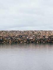 Becoming a Farm Girl