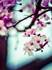 lt;lt;lt;lt;Yearning