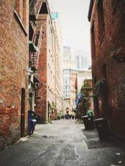 Rebirth of the Urban