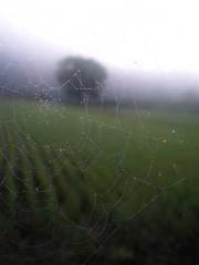 The Sovereign of the