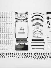 Two Treasures Arrive