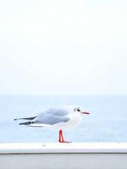 One Night of Indulge