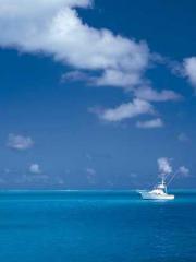 The wife wishes to b