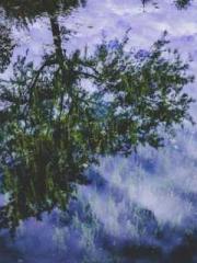 One Night of Indulge