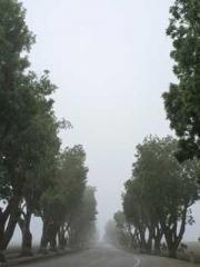 The Generalapos;s Hu